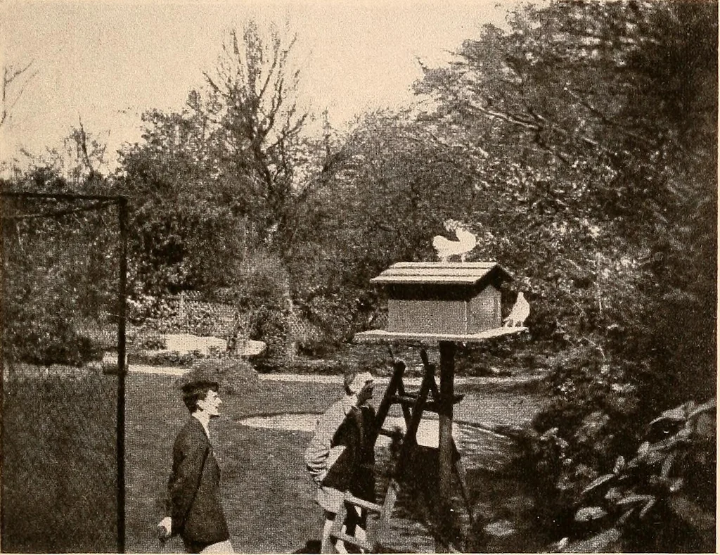 An illustration from Raymond, or Life and death : with examples of the evidence for survival of memory and affection after death, 1916, leaf 254