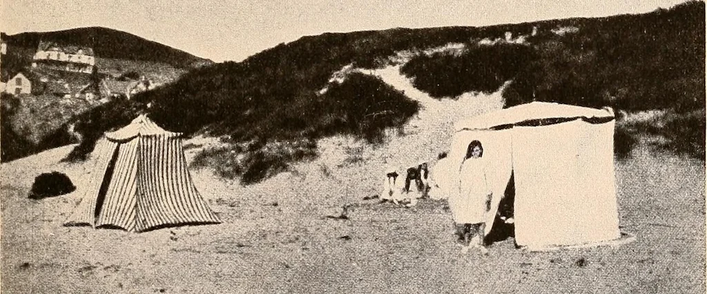 An illustration from Raymond, or Life and death : with examples of the evidence for survival of memory and affection after death, 1916, leaf 286