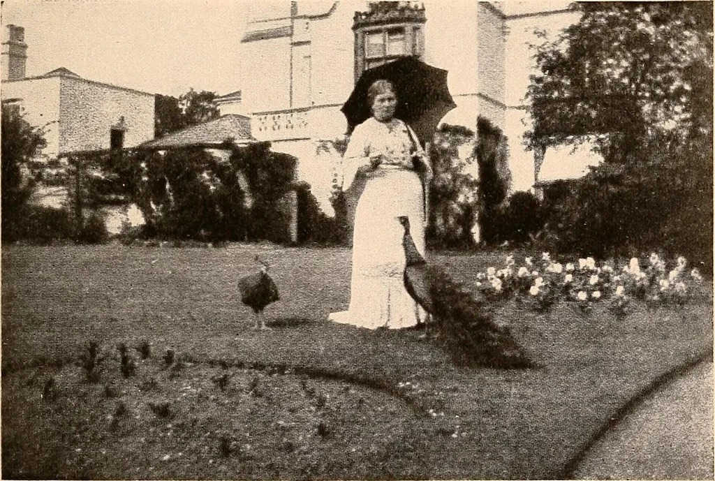 An illustration from Raymond, or Life and death : with examples of the evidence for survival of memory and affection after death, 1916, leaf 294
