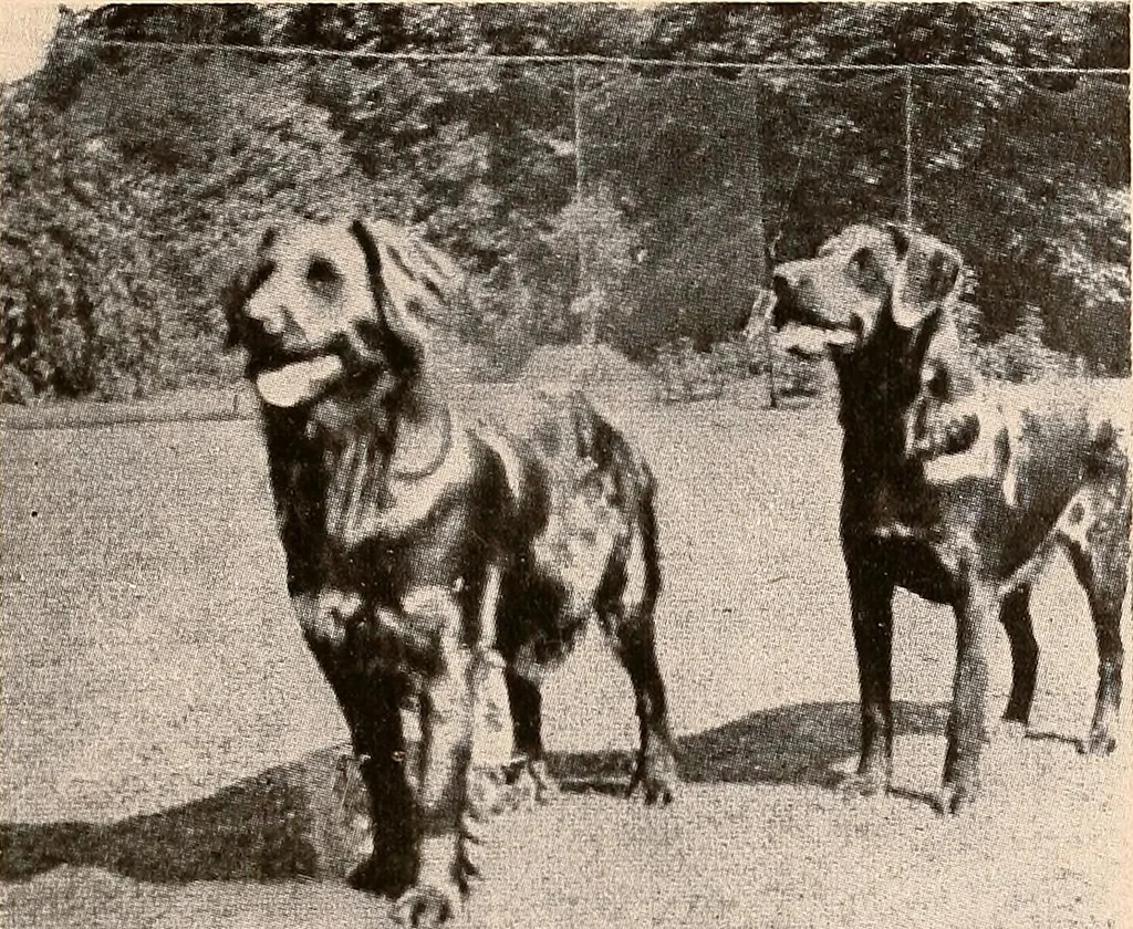 An illustration from Raymond, or Life and death : with examples of the evidence for survival of memory and affection after death, 1916, leaf 318