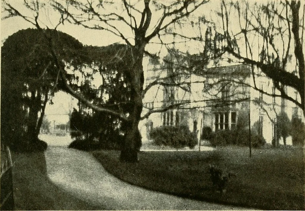 An illustration from Raymond, or life and death : with examples of the evidence for survival of memory and affection after death, 1916, leaf 252