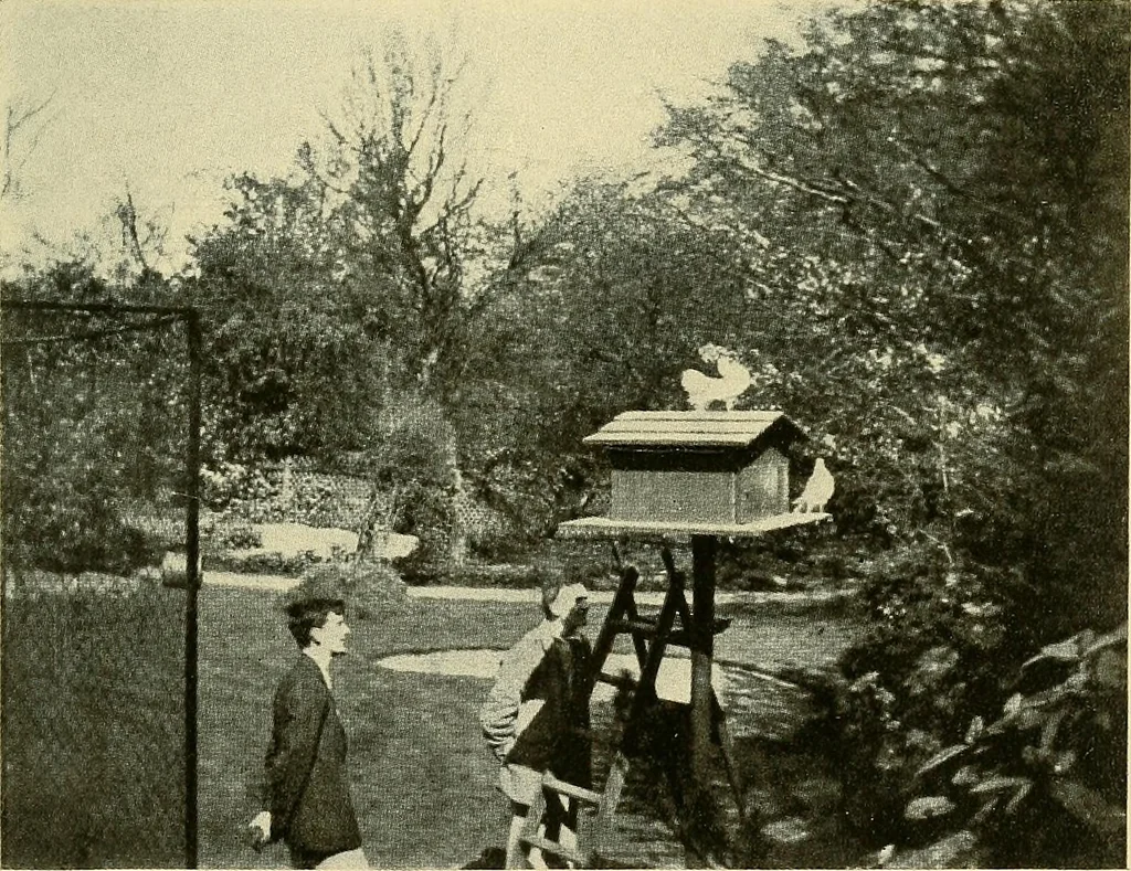 An illustration from Raymond, or life and death : with examples of the evidence for survival of memory and affection after death, 1916, leaf 252