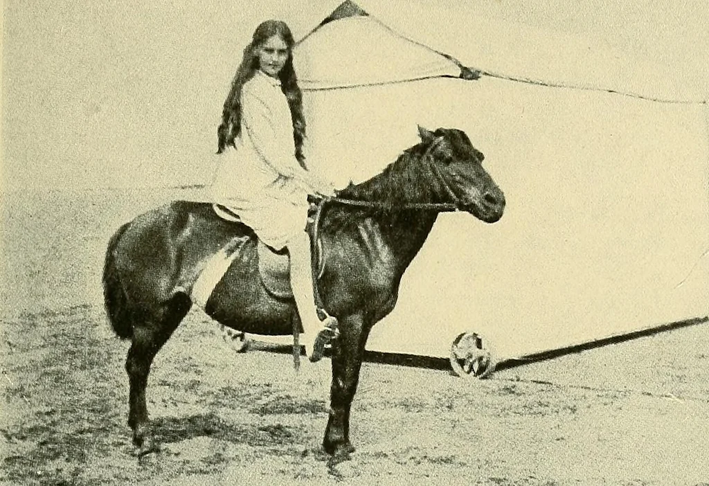 An illustration from Raymond, or life and death : with examples of the evidence for survival of memory and affection after death, 1916, leaf 280