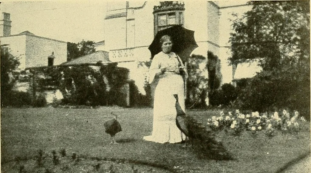 An illustration from Raymond, or life and death : with examples of the evidence for survival of memory and affection after death, 1916, leaf 292