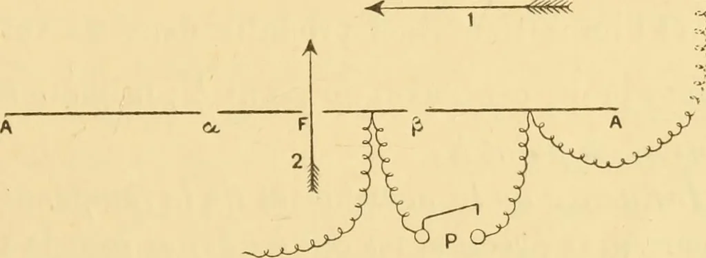 An illustration from Rayons cathodiques et rayons de Röntgen : Étude expérimentale, 1897, leaf 54