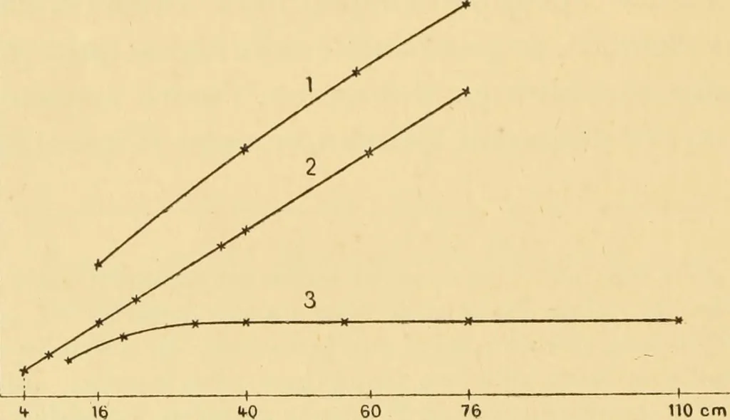 An illustration from Rayons cathodiques et rayons de Röntgen : Étude expérimentale, 1897, leaf 69