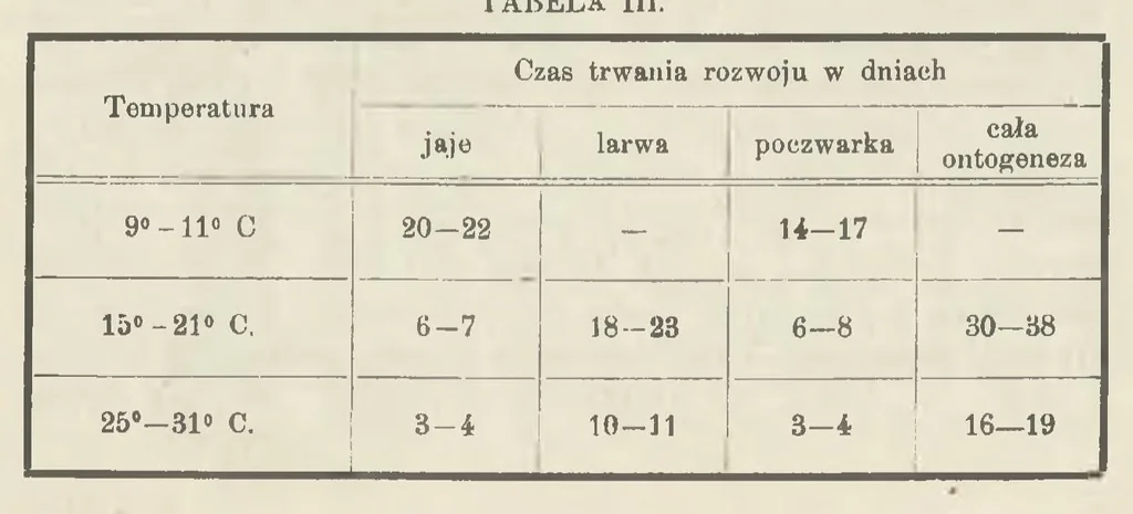 An illustration from Analiza genetyczna gatunku chrząszcza Rynnica olchowa (Melasoma aenea L.). Część 2, 1923, leaf 15