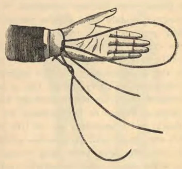 An illustration from Tajemnice magii i spirytyzmu w świetle nauki : podług źródeł obcych, 1893, leaf 165
