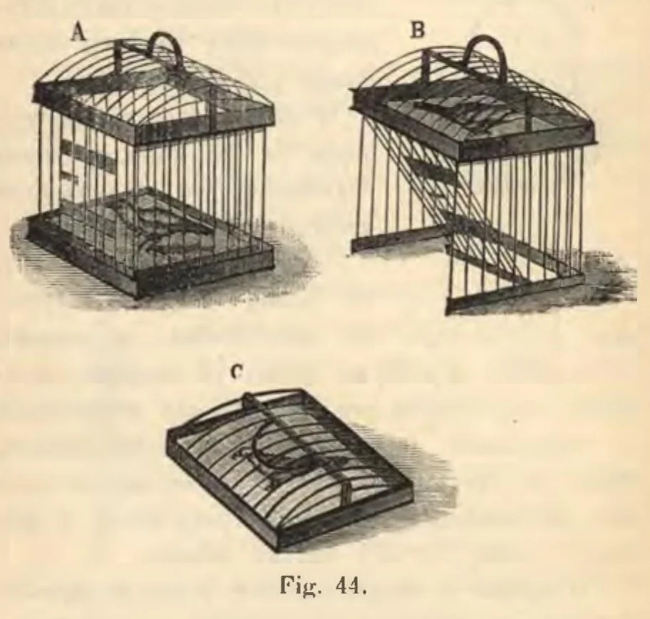 An illustration from Tajemnice magii i spirytyzmu w świetle nauki : podług źródeł obcych, 1893, leaf 87