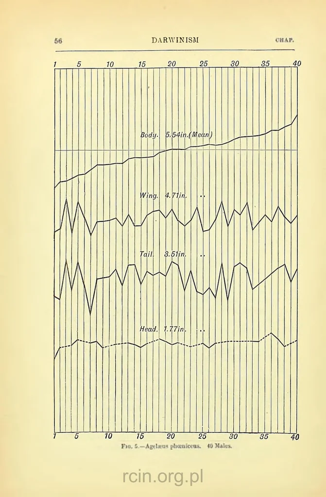 An illustration from Darwinism: an exposition of the theory of natural selection, 1905, leaf 79