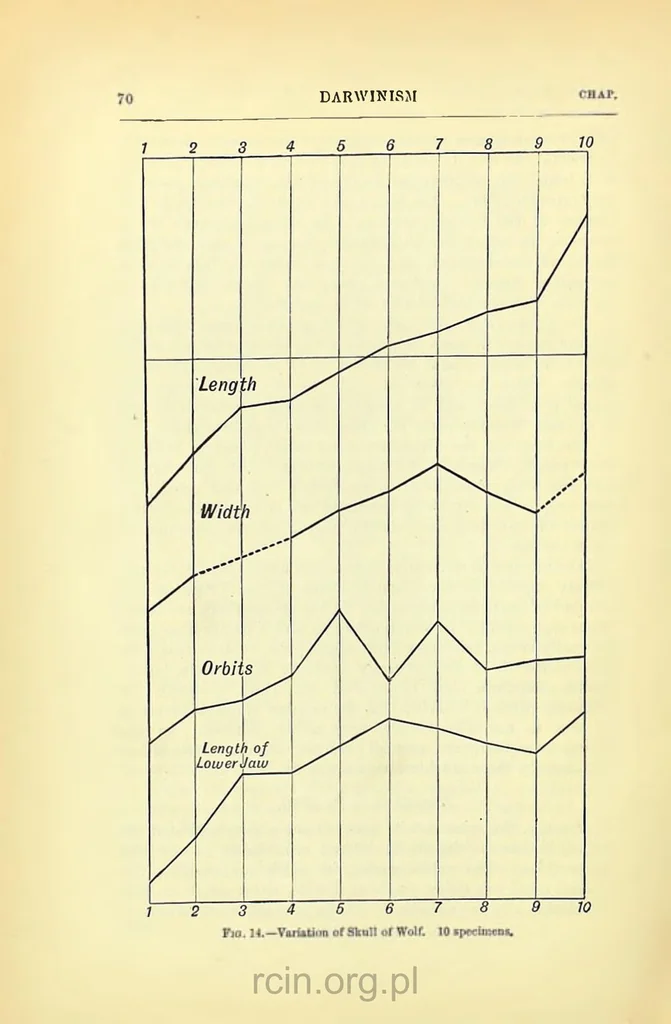 An illustration from Darwinism: an exposition of the theory of natural selection, 1905, leaf 93