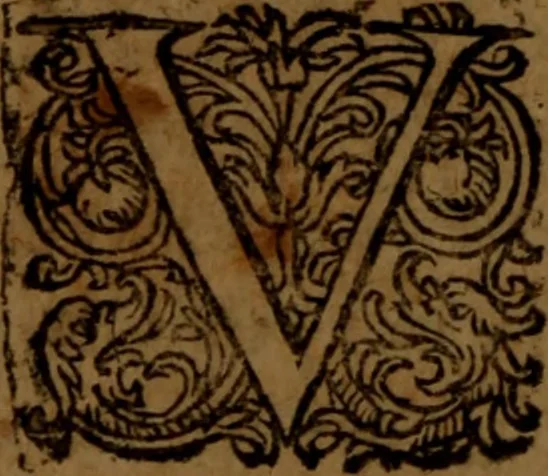 An illustration from R.D. Magistri Petri Lombardi Novariensis Episcopi Parisiensis : sententiarum libri IV. Quibus uniuersæ theologiæ summa continetur, 1632, leaf 1017