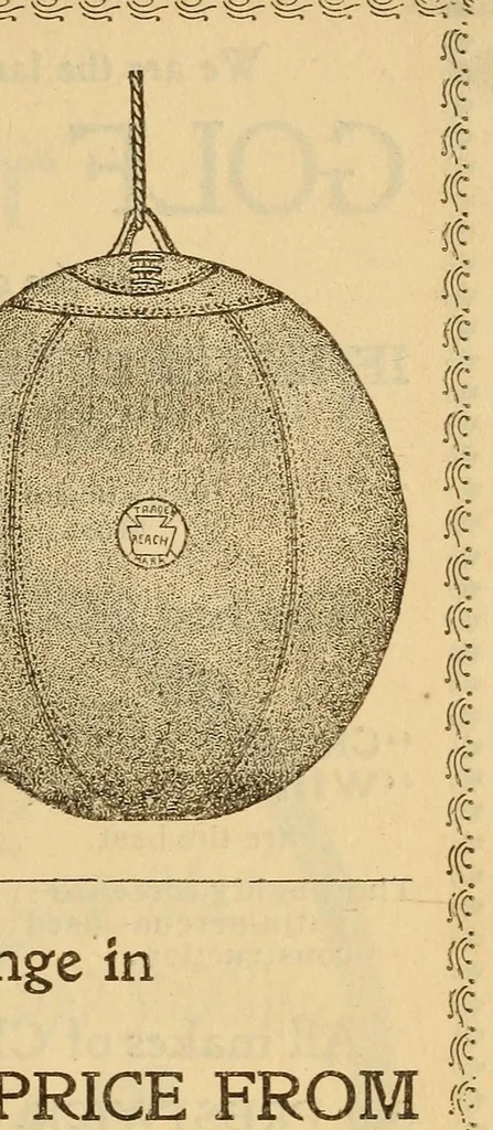 An illustration from The Reach official American League base ball guide, 1883, leaf 171