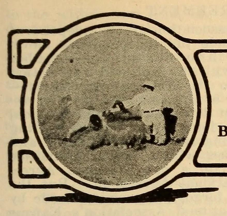 An illustration from The Reach official American League base ball guide, 1883, leaf 703