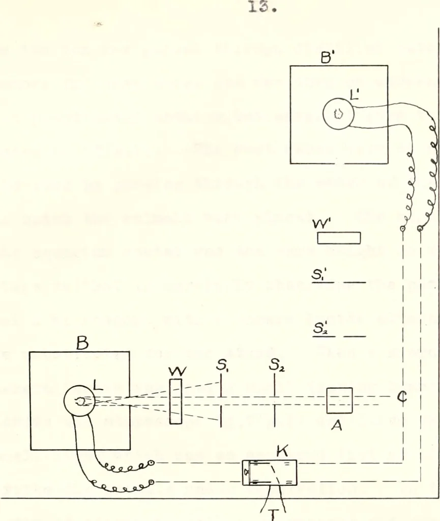 An illustration from Reactions to light in Planaria maculata with special reference to the function and structure of the eyes, 1918, leaf 38