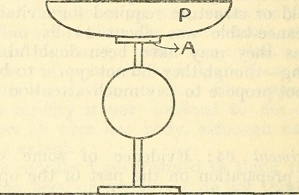 An illustration from The reality of psychic phenomena : raps, levitations, etc., 1916, leaf 161