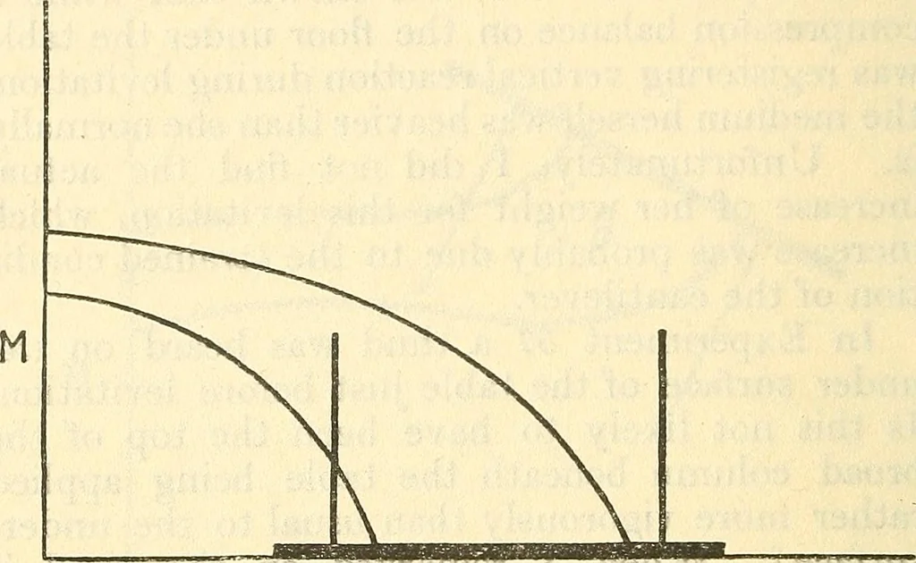 An illustration from The reality of psychic phenomena : raps, levitations, etc., 1916, leaf 191