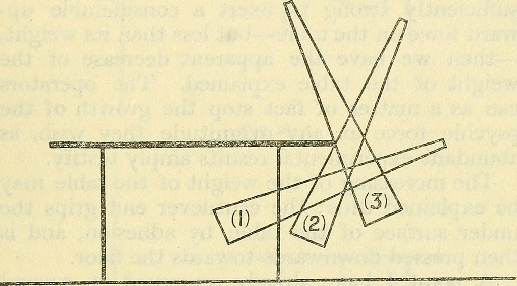 An illustration from The reality of psychic phenomena : raps, levitations, etc., 1916, leaf 194