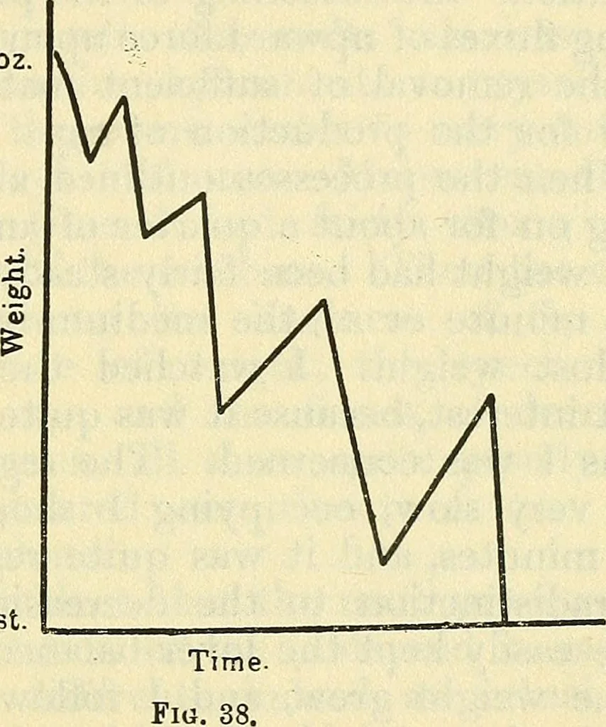An illustration from The reality of psychic phenomena : raps, levitations, etc., 1916, leaf 204