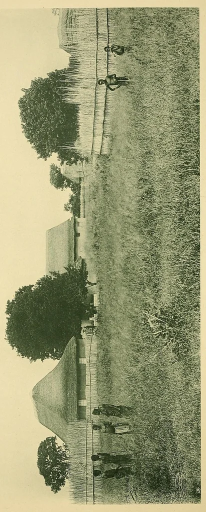 An illustration from Reality versus romance in South Central Africa : being an account of a journey across the continent from Benguella on the west through Bihe, Ganguella, ... to the mouth of the Zambesi on the east coast, 1893, leaf 260