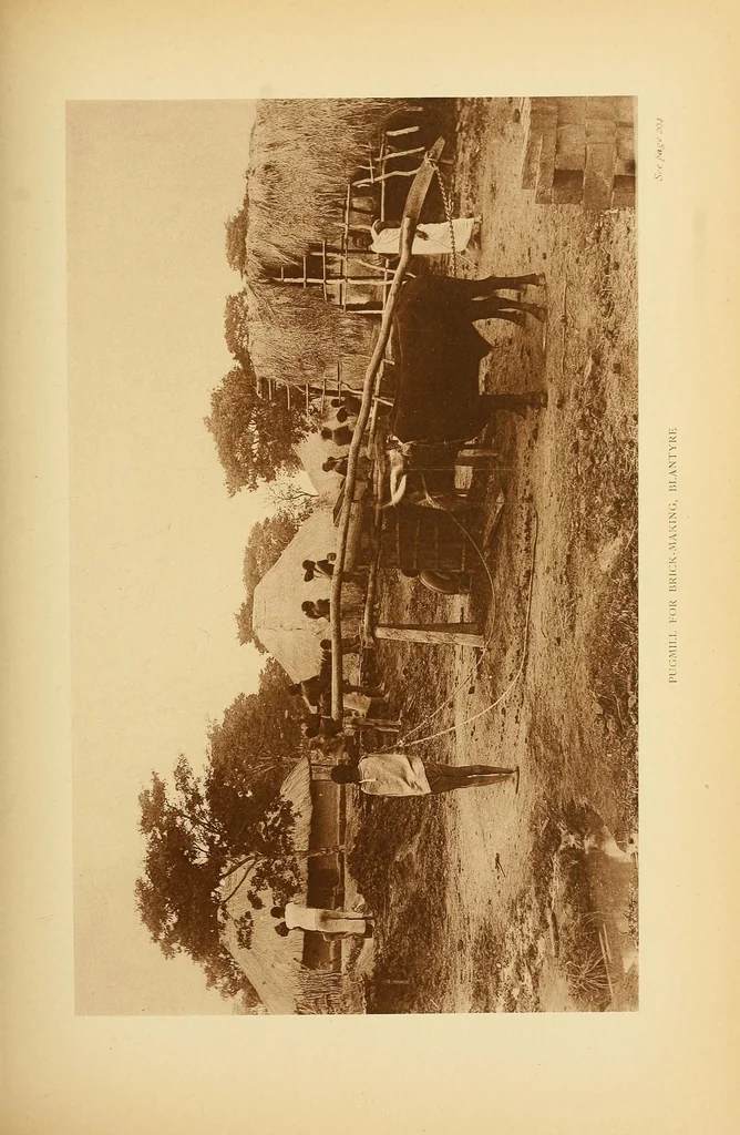 An illustration from Reality versus romance in South Central Africa : being an account of a journey across the continent from Benguella on the west through Bihe, Ganguella, ... to the mouth of the Zambesi on the east coast, 1893, leaf 349