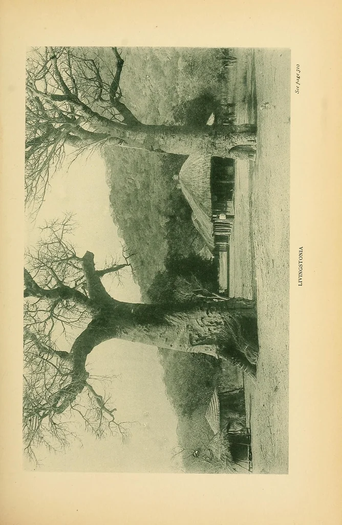 An illustration from Reality versus romance in South Central Africa : being an account of a journey across the continent from Benguella on the west through Bihe, Ganguella, ... to the mouth of the Zambesi on the east coast, 1893, leaf 379