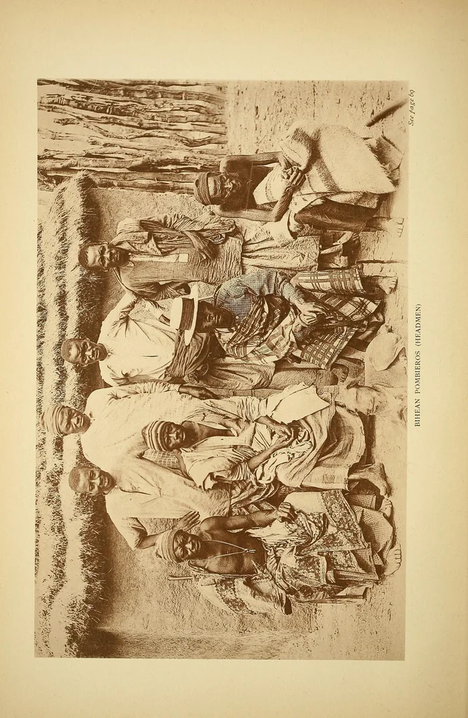 An illustration from Reality versus romance in South Central Africa : being an account of a journey across the continent from Benguella on the west through Bihe, Ganguella, ... to the mouth of the Zambesi on the east coast, 1893, leaf 62