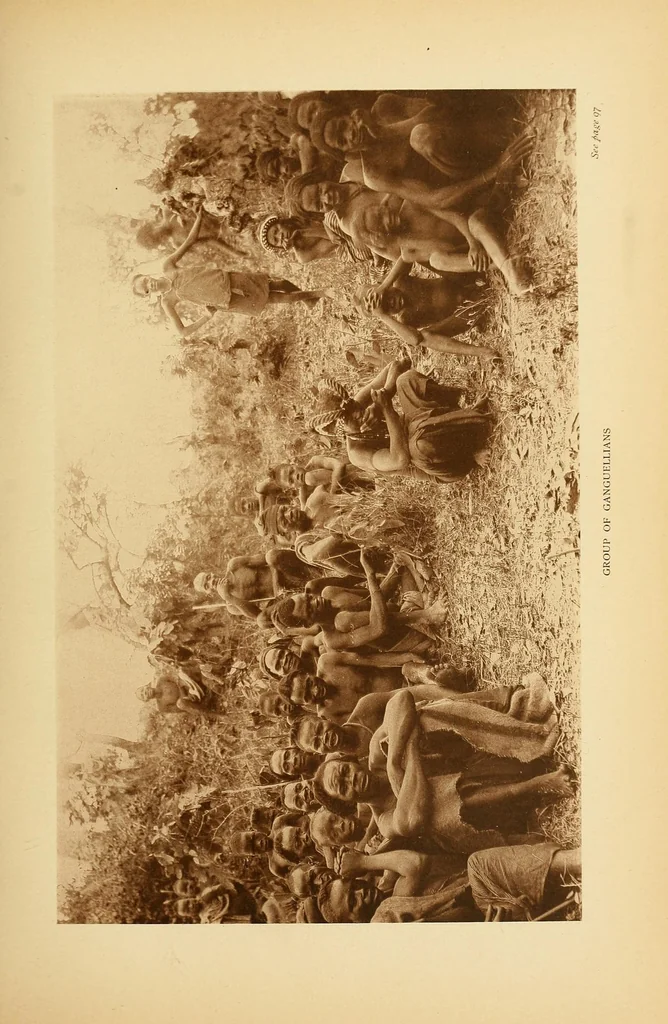 An illustration from Reality versus romance in South Central Africa : being an account of a journey across the continent from Benguella on the west through Bihe, Ganguella, ... to the mouth of the Zambesi on the east coast, 1893, leaf 99