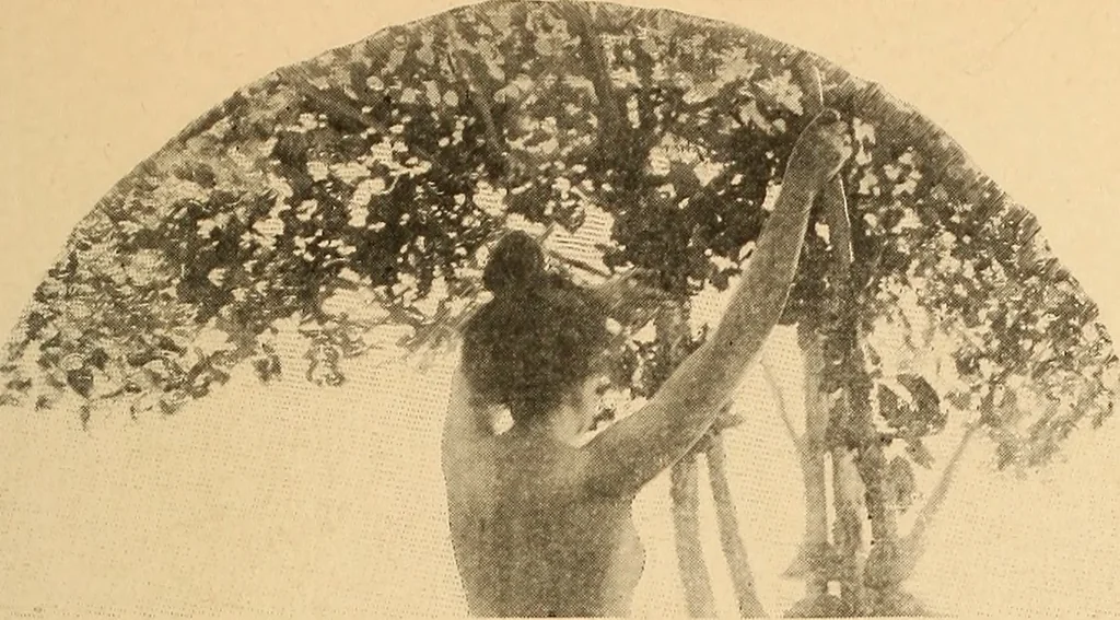 An illustration from The real Latin quarter, 1901, leaf 140