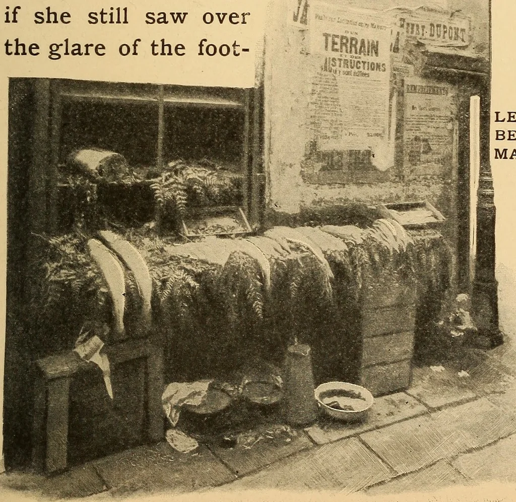 An illustration from The real Latin quarter, 1901, leaf 54