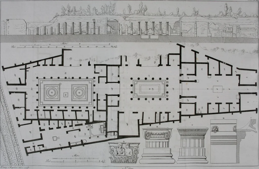 An illustration from Real Museo borbonico, 1824, leaf 363