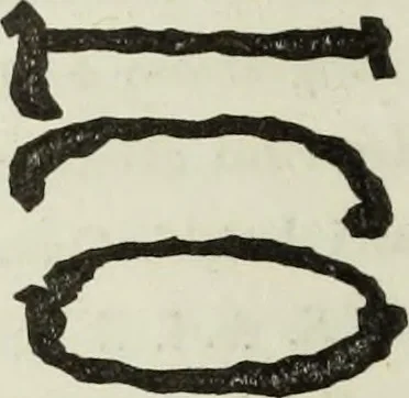 An illustration from Real Museo borbonico, 1824, leaf 371