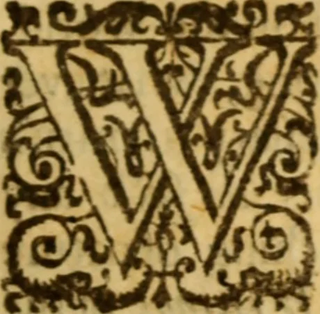 An illustration from The reasons of the Christian religion : the first part, of godliness ... the second part, of Christianity .., 1667, leaf 234