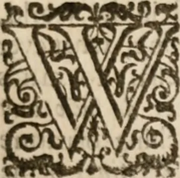 An illustration from The reasons of the Christian religion. The first part, of godliness: proving by natural evidence the being of God , the necessity of holiness, and a future life of retribution; the sinfulness of the world; the desert of hell; and what hope of recovery mercies intimate; The second part, of Christianity: proving by evidence supernatural and natural, the certain truth of the Christian belief; ... First meditated for the well-setling of his own belief; and now published for the benefit of others, 1667, leaf 230