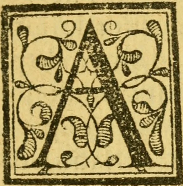 An illustration from Recebimiento qve hizo la mvy noble y muy leal ciudad de Seuilla, 1570, leaf 14