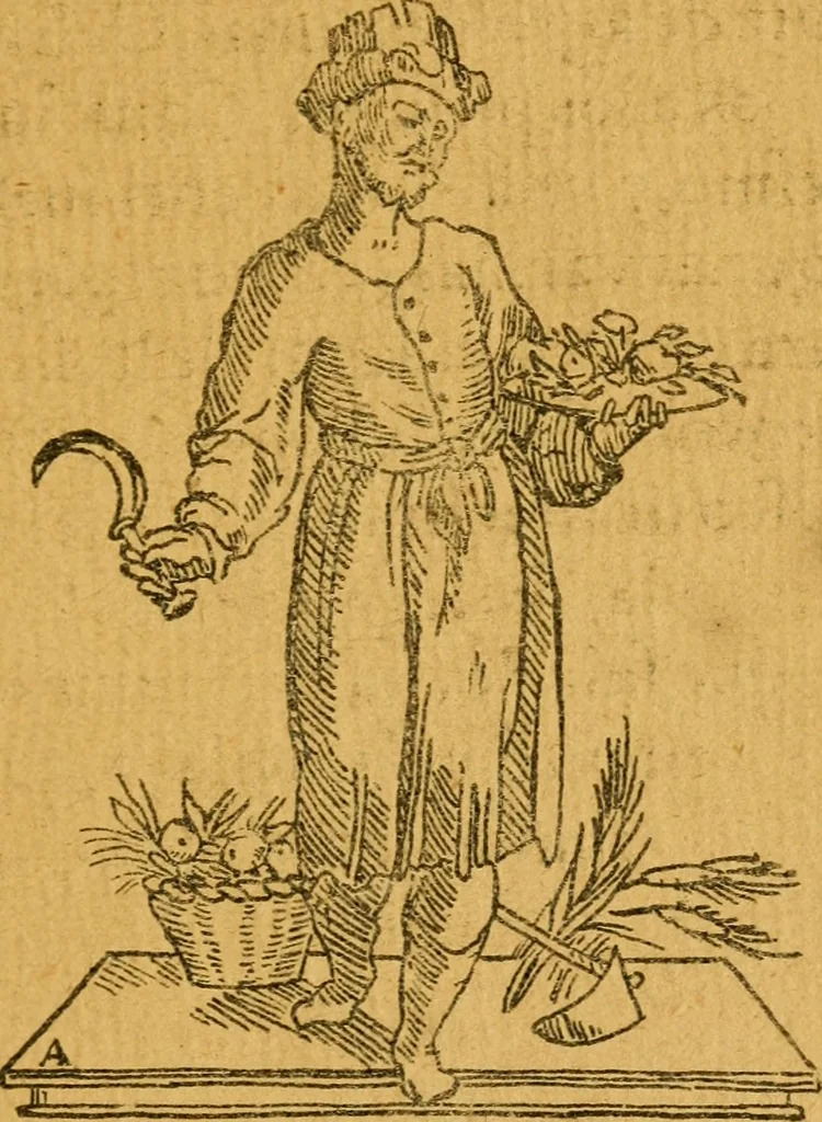 An illustration from Recebimiento qve hizo la mvy noble y muy leal ciudad de Seuilla, 1570, leaf 186