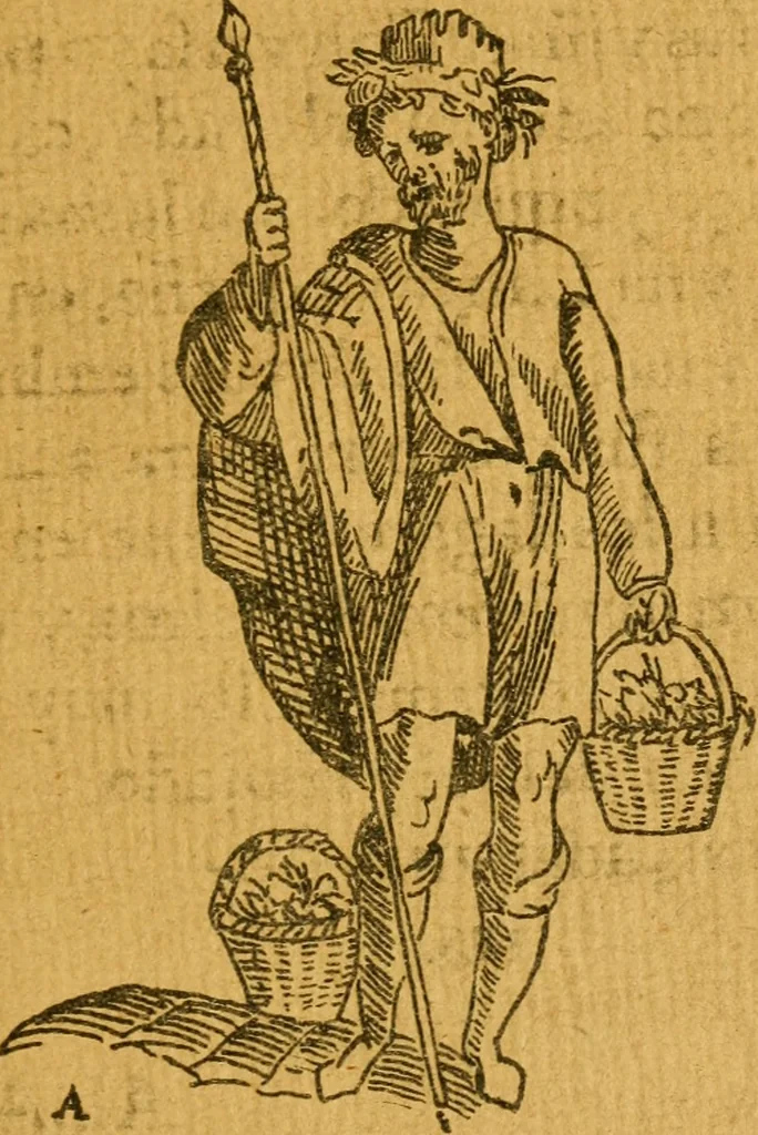 An illustration from Recebimiento qve hizo la mvy noble y muy leal ciudad de Seuilla, 1570, leaf 234