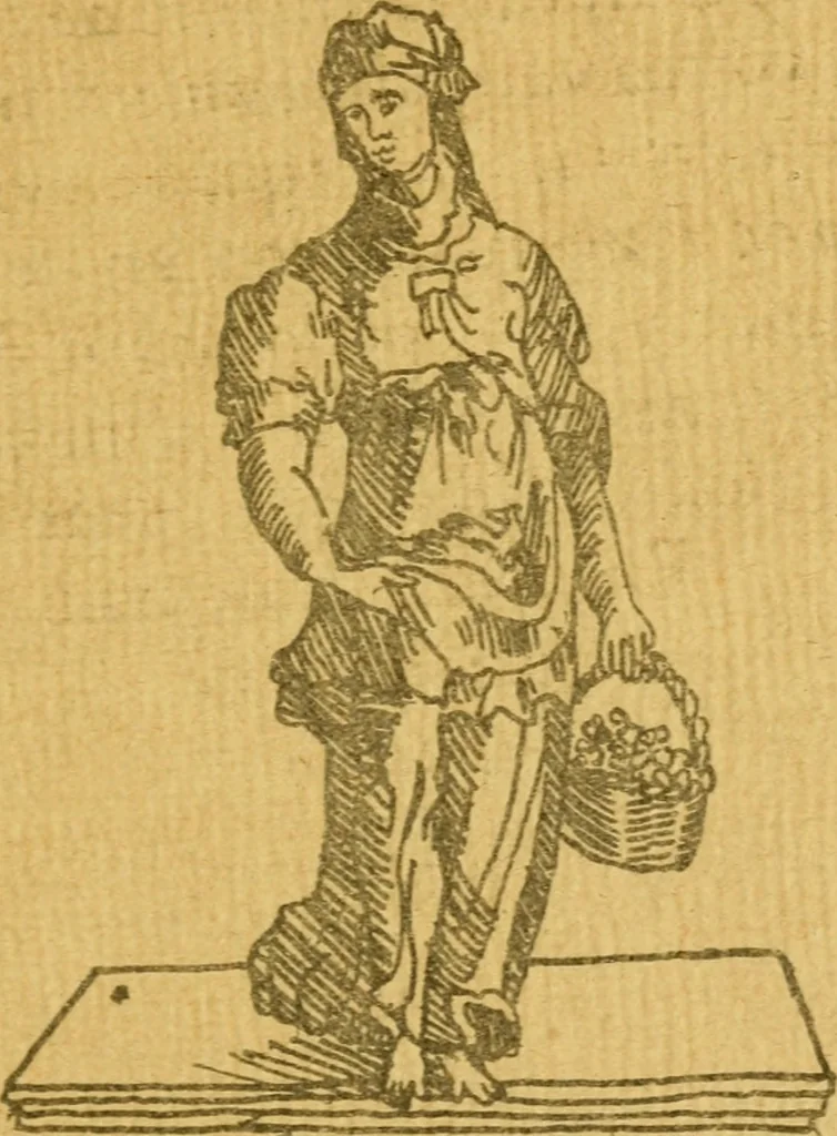 An illustration from Recebimiento qve hizo la mvy noble y muy leal ciudad de Seuilla, 1570, leaf 246