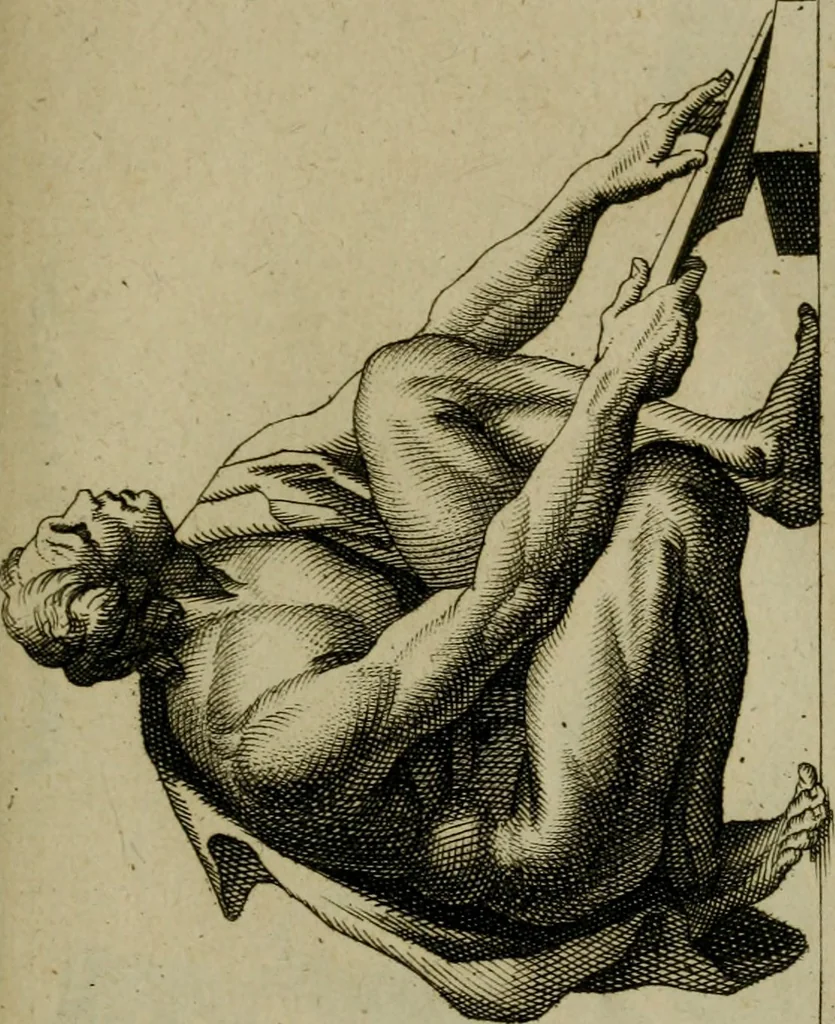 An illustration from Recüeil des figures, groupes, thermes, fontaines, vases, et autres ornemens tels qu'ils se voyent a présent dans le chateau et parc de Versailles : gravé d'après les originaux, 1694, leaf 124