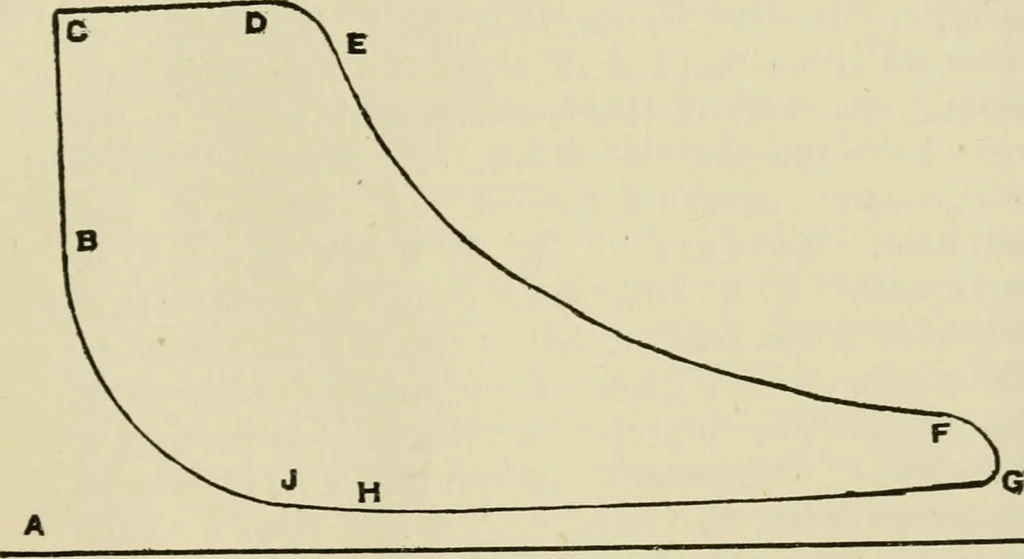 An illustration from Recent cotton mill construction and engineering, 1894, leaf 246