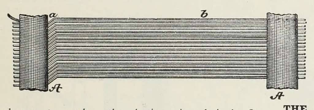 An illustration from Recent improvements in textile machinery, 1898, leaf 135