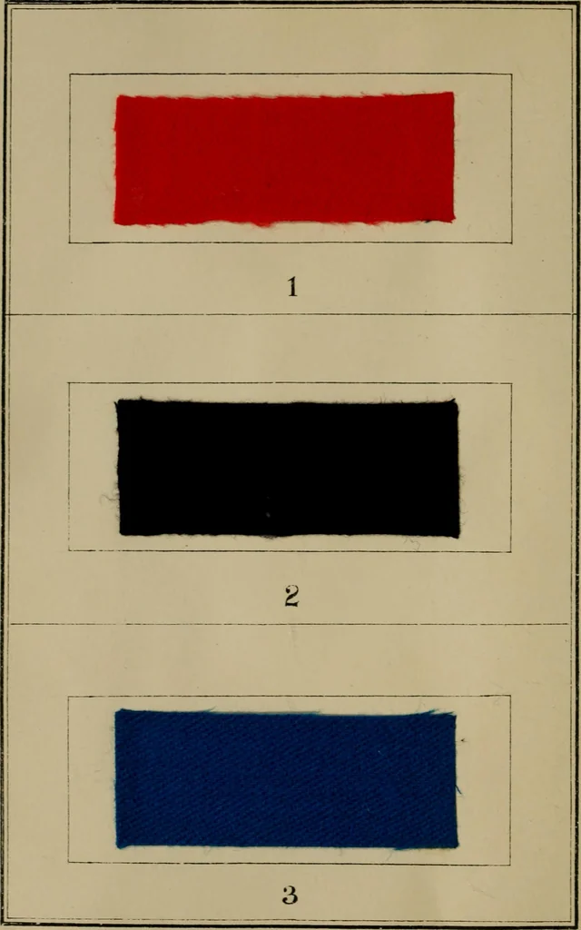 An illustration from Recent progress in the industries of dyeing & calico printing, 1895, leaf 107