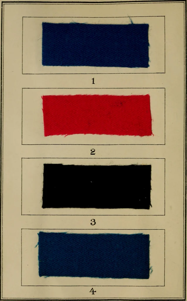 An illustration from Recent progress in the industries of dyeing & calico printing, 1895, leaf 113