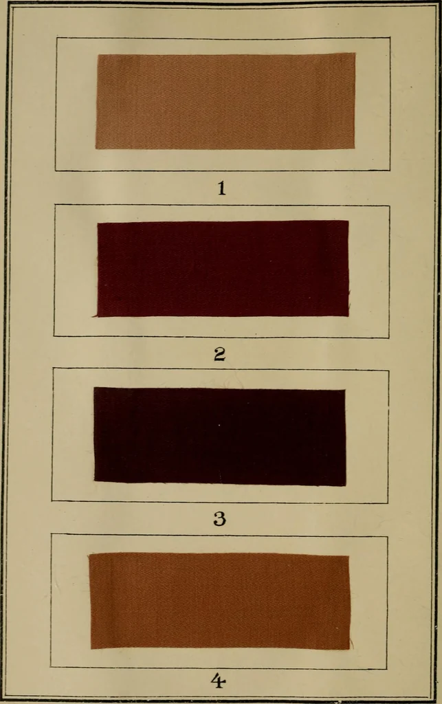 An illustration from Recent progress in the industries of dyeing & calico printing, 1895, leaf 137