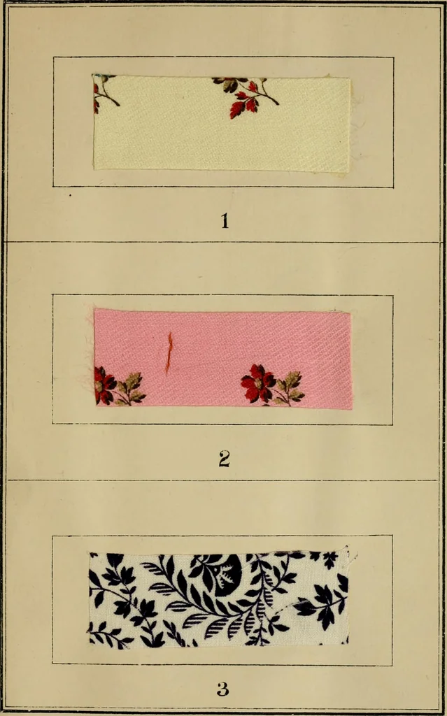 An illustration from Recent progress in the industries of dyeing & calico printing, 1895, leaf 158