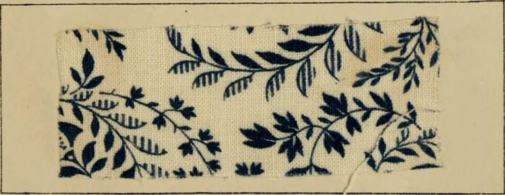 An illustration from Recent progress in the industries of dyeing & calico printing, 1895, leaf 164