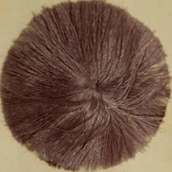 An illustration from Recent progress in the industries of dyeing & calico printing, 1895, leaf 83