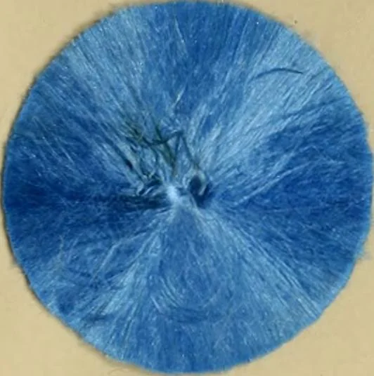 An illustration from Recent progress in the industries of dyeing & calico printing, 1895, leaf 86