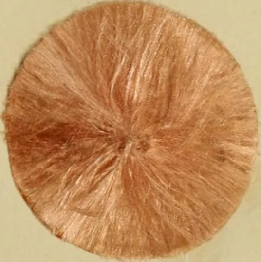 An illustration from Recent progress in the industries of dyeing & calico printing, 1895, leaf 86