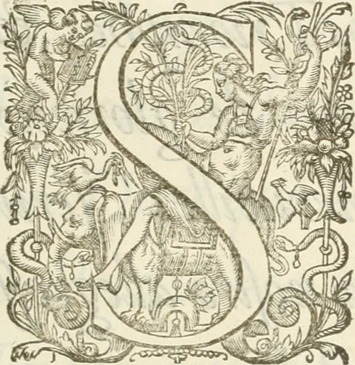 An illustration from Reception de tres-chrestien, tres-iuste, et tres-victorieux monarque Louis XIII. roy de France & de Nauarre ... : et de tres-chrestienne, tres-auguste, & tres-vertueuse royne Anne d'Austriche, par Messieurs les doyen, chanoines, & comtes de Lyon en leur cloistre & eglise, le XI. decembre, M. DC.XXII, 1623, leaf 18